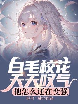仓鼠和金丝熊在一起会打架吗