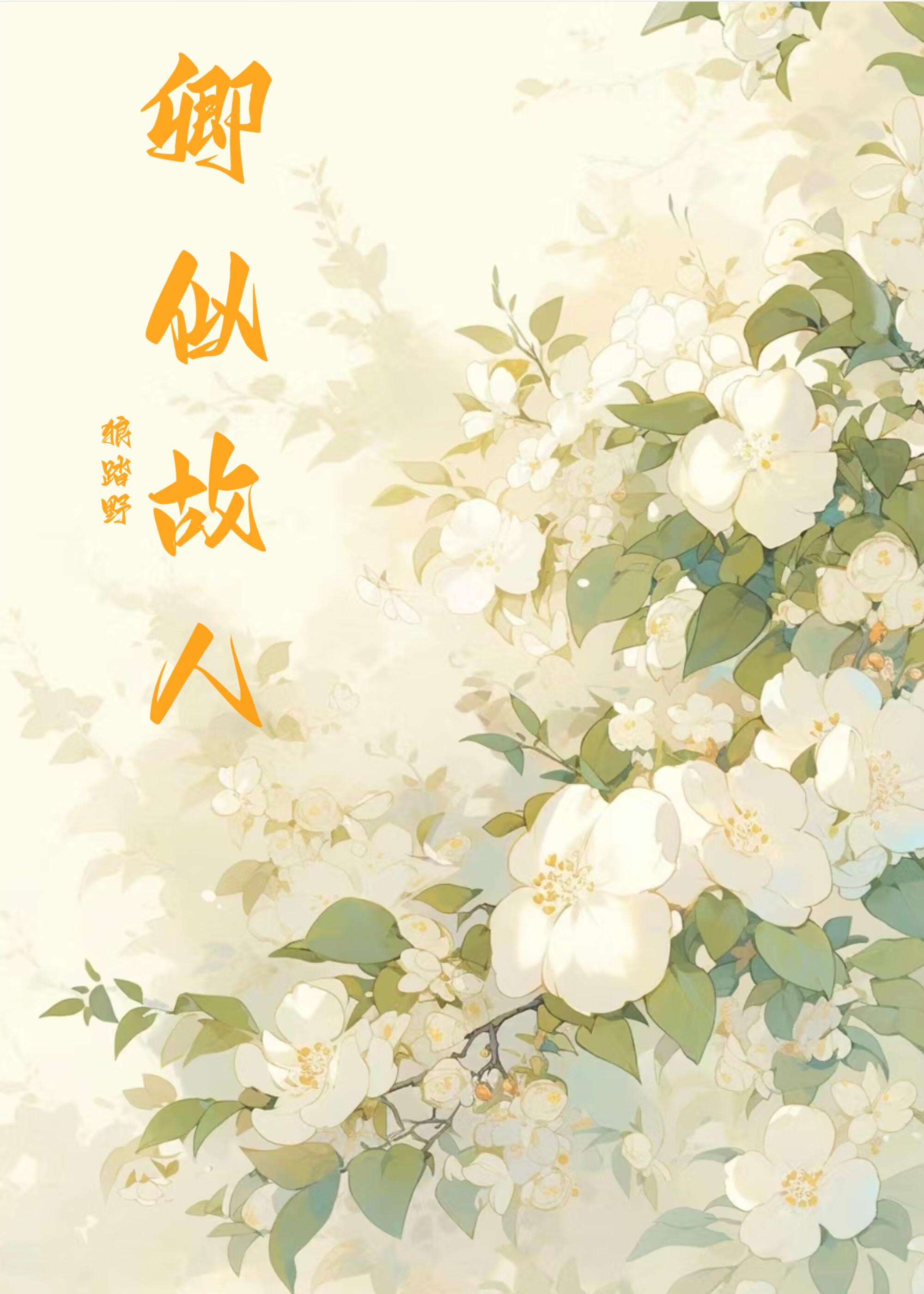 护士风云录免费阅读