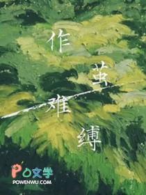 网游之奇迹世界